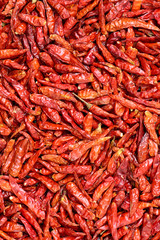 dried chili peppers