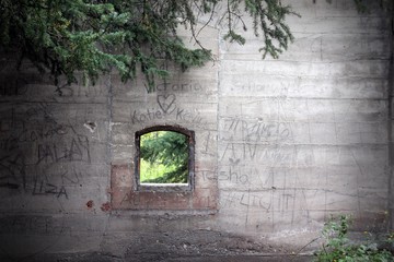 Abandoned Window