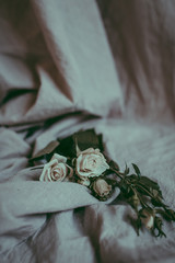 close-up composition of white roses on a linen sheet amongst white petals. Floral concept background, copy space. Tender morning decor. Small blossoms on a beige, neutral fabric with folds. Soft focus