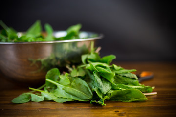 fresh cut sorrel leaves on a wooden table