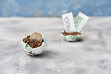 economic growth concept. 1 euro sprouts in the ground