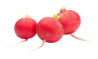 garden radish isolated on white