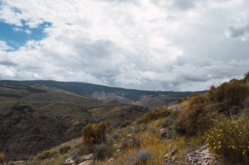 Naklejka premium RURAL