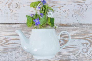 Bouquet of white and blue violet flowers in white tea pot on rustic white paint wooden background