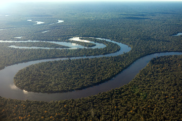 Aerial view of the rainforest and the Amazonas River