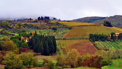 Paesaggio toscano di vigneti nelle colline del Chianti nella stagione autunnale nel comune di Greve in Chianti in provincia di Firenze in Italia