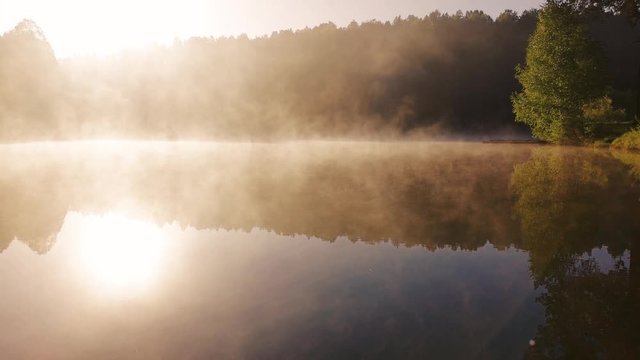 thick morning fog in the summer forest near the reservoir