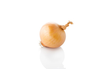 Yellow onion. Single onion on a white background. (Tr - sogan)
