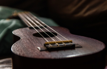 Fototapeta premium brown ukulele with natural light