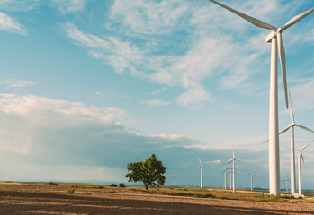 landscape of a tree in a wind park