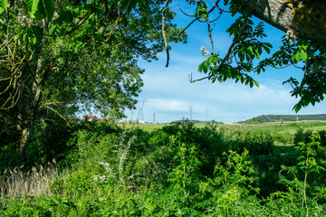 Prados y campos de cultivo en verano.