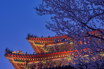 Old pagoda on Jingshan hill in Beijing, China