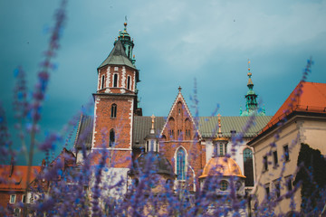 Obraz premium Wawel Castle in Krakow Poland