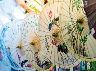 Decorated Chinese oil-paper umbrellas on display