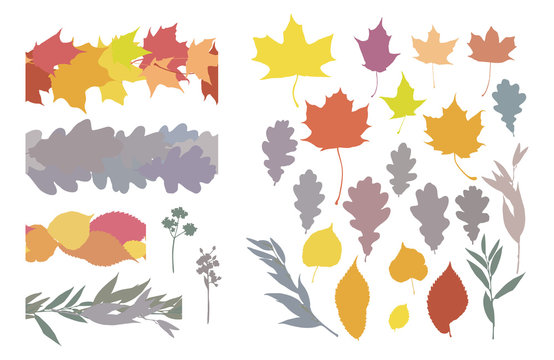 Isolated on white vector set of leaves silhouettes and horisontal endless brushes