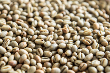Raw Coffee Beans