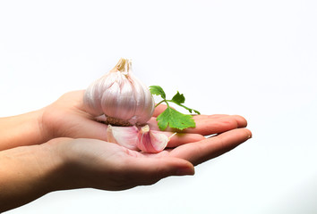 Ajo con perejil sobre manos y fondo blanco