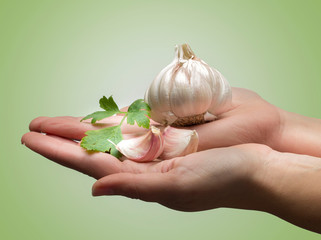 Ajo con perejil sobre manos