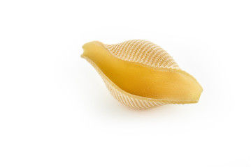 Italian raw dry pasta conchiglioni isolated on white background. Pasta for baking