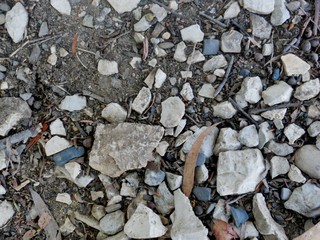 Soil with stones