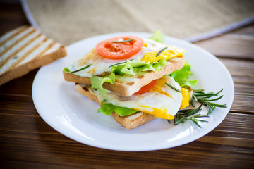 fried toasts with egg, salad, tomato in a plate