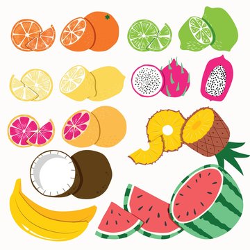 Collection of exotic tropical fruit, isolated on white background. Colorful flat vector illustration