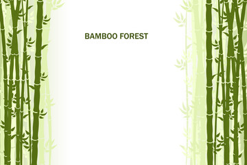 Vector greeting card with bamboo on a light background.	