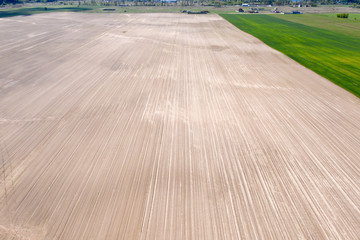 Fototapeta premium farm field, agriculture, view from above