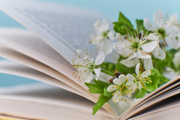 Cozy home still life: spring flowers and opened book with warm plaid. Springtime concept, free copy...