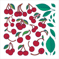 Cherries sketch drawing set. Cherry and leafs hand drawn collection. Different amount and various shapes of berries. Part of set. 