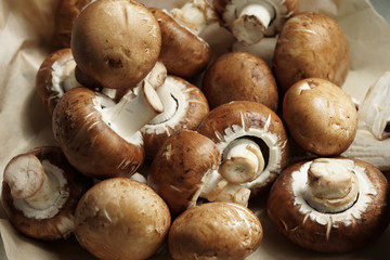 mushrooms on a wooden background