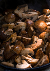 mushrooms 