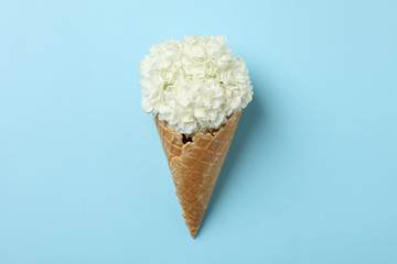 Waffle cone with hydrangea on blue background. Spring plant