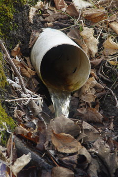 drain tile in forest