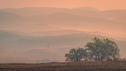 Beautiful warm toned sunrise over Val d'Orcia at pink hour. Tuscany, Italy