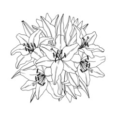 Flower  bouquet - Lilies . Vector coloring page– Flower bouquet. Coloring book page. Hand-drawn illustration for coloring.