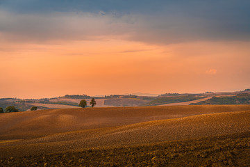 Fototapeta na wymiar Beautiful warm toned sunset over Val d'Orcia at pink hour. Tuscany, Italy