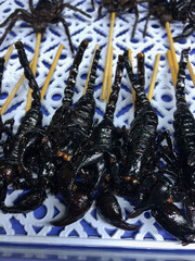 Thai Cooked Scorpion Sticks