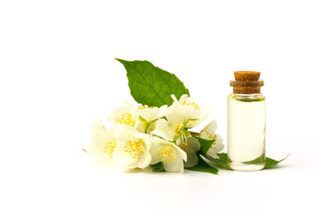 Obraz na płótnie Canvas Jasmine flowers isolated on white background, close up.