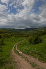 Fototapeta premium A valley in green near Povorotnoye, Crimea