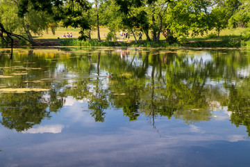 Fototapeta na wymiar lake in the park