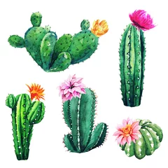 Foto op geborsteld aluminium Cactus Aquarel set cactusplanten en vetplanten