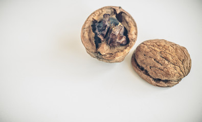 Split old walnut on white isolate, place under the inscription