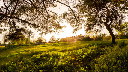 Sunset in a frame decorated with trees, glade in a beautiful light, landscape panorama