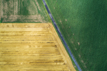 Village country farming shapes in field