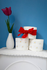 WC mit Toilettenpapier Rollen, roter Geschenk-Schleife und Blumen Vase