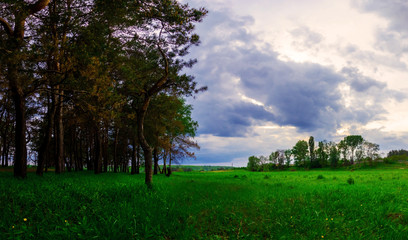 Landscape of a field near a forest in cloudy weather, panorama with beautiful sky