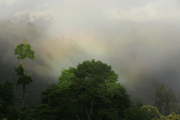 Fantastic rainbow forms as rain shafts sweep over forest with beautiful, blue sky and white puffy clouds