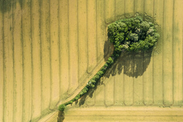 Village country farming shapes in field