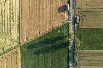 Village country farming shapes in field
